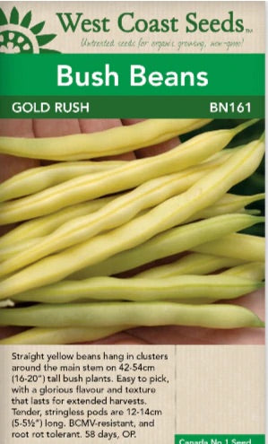 BN161 Bush Beans Gold Rush